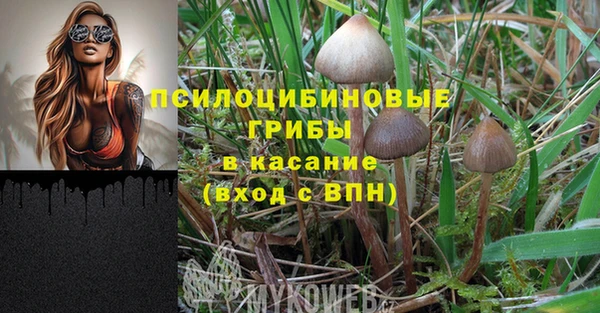 герыч Баксан
