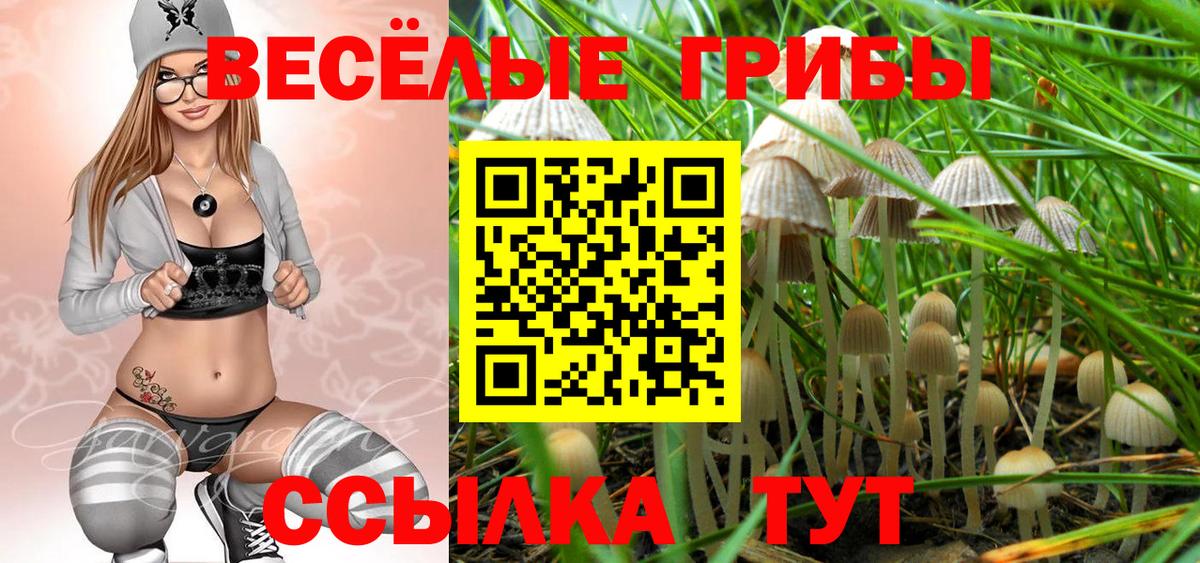 Псилоцибиновые грибы Cubensis Белово
