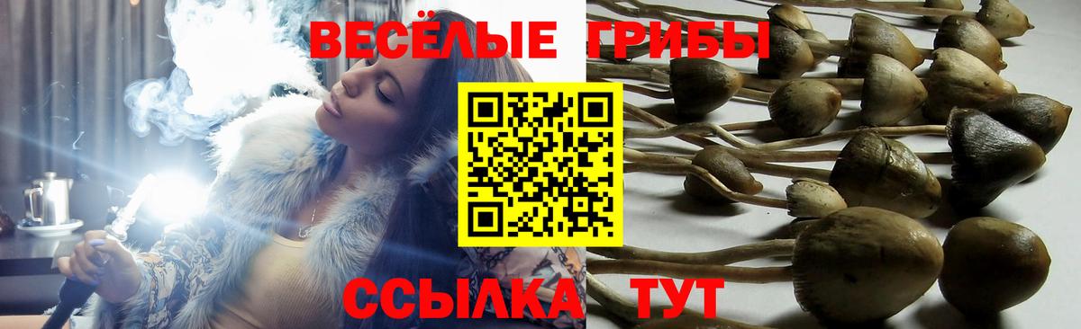 Белово  наркота  Вход с VPN  Псилоцибиновые грибы ЛСД 