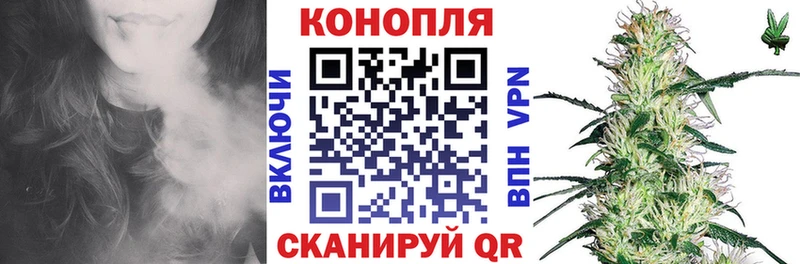 Бошки марихуана семена  даркнет сайт  Белово 